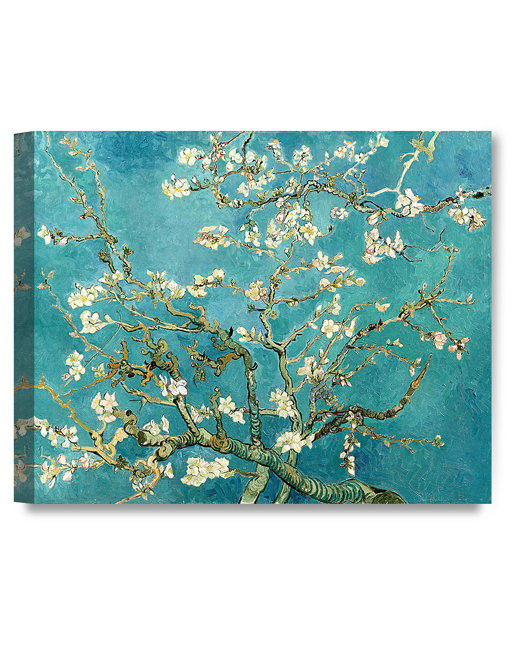 Blossoming Almond Tree by Vincent Van Gogh. - Image 141