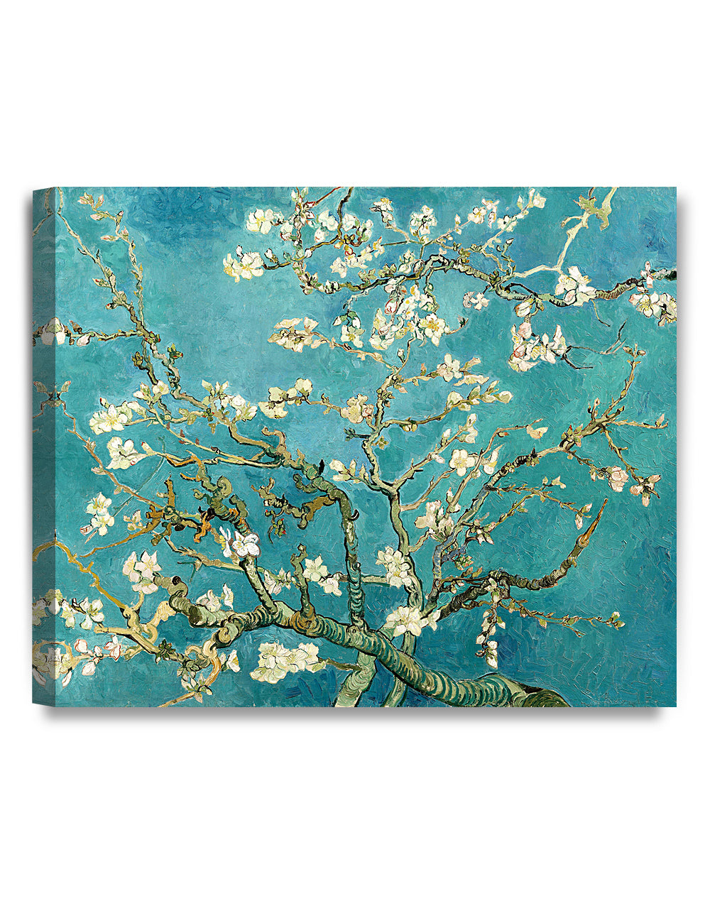 Blossoming Almond Tree by Vincent Van Gogh. - Image 139