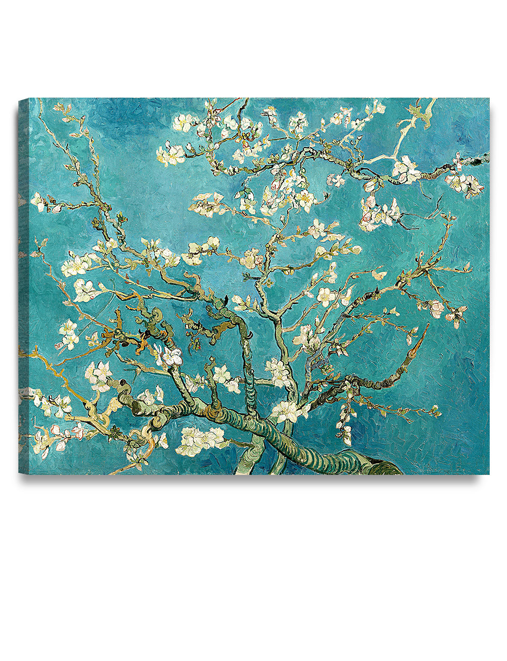 Blossoming Almond Tree by Vincent Van Gogh. - Image 137